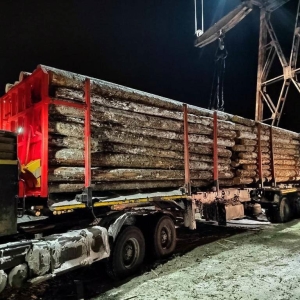 В Хакасии пресечен канал контрабанды древесины в крупном размере