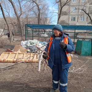 Невероятно: город вязов в Хакасии рубит ветки