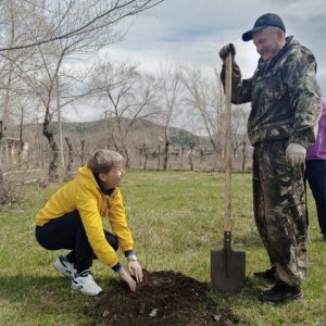 В Боградском районе прошла акция «Саженец в одни руки»