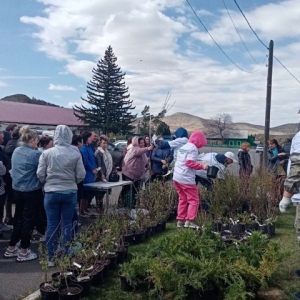 В Боградском районе прошла акция «Саженец в одни руки»