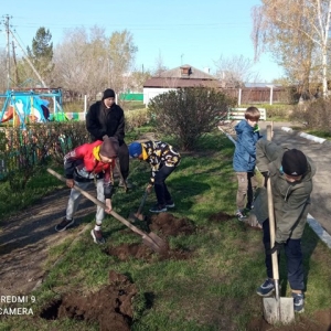 Образовательные организации Алтайского района озеленились