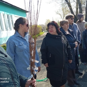 Образовательные организации Алтайского района озеленились