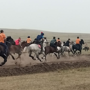 В Боградском районе прошли конноспортивные соревнования