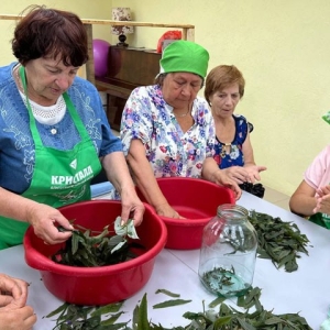 Подопечные Фонда «Кристалл» научились ферментировать травяной чай