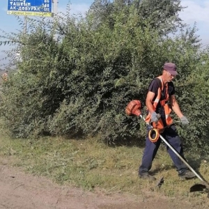 В Абакане вывезли на карьер свыше 450 грузовиков растительного мусора