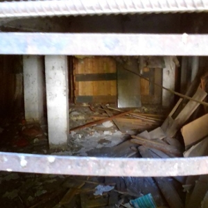 Борьба с усатым бедствием в абаканском многоквартирном доме застряла в исходной точке