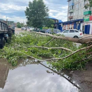 В Шира устраняют последствия бури