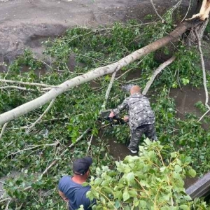 В Шира устраняют последствия бури