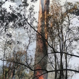 В Шушенском районе тушили пожар от молнии, ударившей в горы