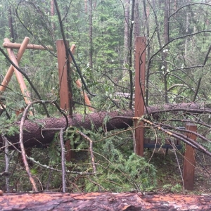 Из-за риска обрушения деревьев туристам запретили посещать Красноярские Столбы