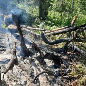 Пожарные тушили тайгу на юге Сибири, спустившись по шнуру из зависшего вертолета
