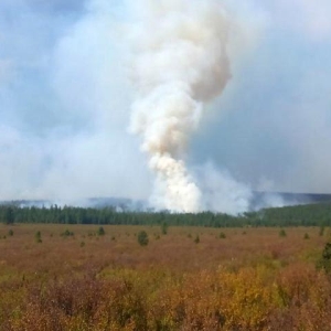 Кедровый лес полыхает как спичка - пожарные Хакасии рассказали о возгораниях в Туве