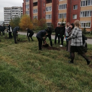 Министерства и ведомства Хакасии объединило общее дело - ФОТО