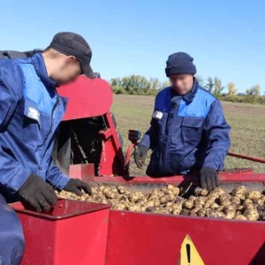 В Хакасии осужденные и сотрудники УФСИН завершили уборочную кампанию