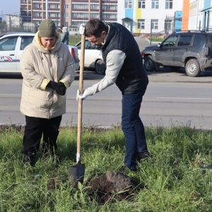 В Арбане высадили 35 саженцев 