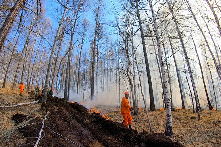 В Хакасии лесные пожары распространились на 150 гектаров