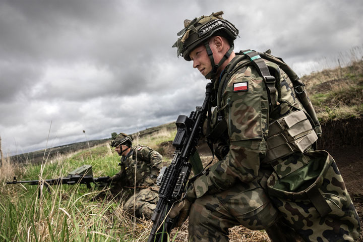 Welt: Польша уговаривает коллег по НАТО поставить РФ на колени