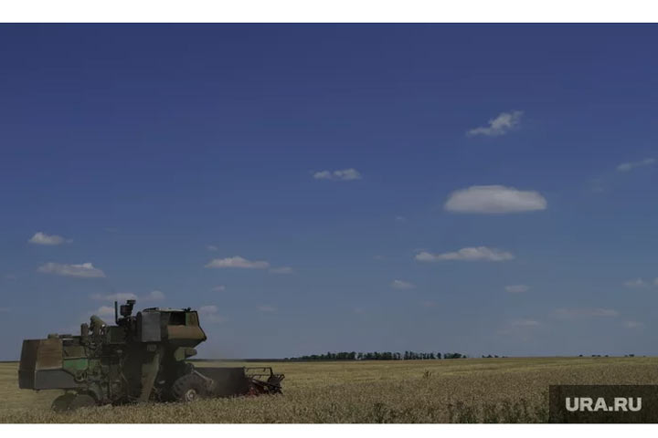 Польша отказала Украине в помощи после прекращения зерновой сделки