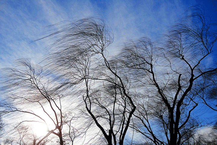 Метель и сильный ветер: в Хакасии объявлено штормпредупреждение
