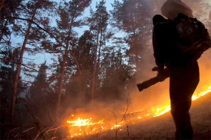 Лесной пожар ликвидировали в выходные в Хакасии